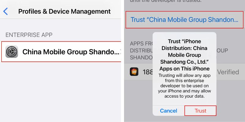 Chọn Trust để app hoạt động