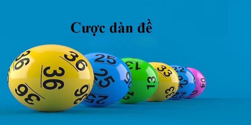 Khám phá định nghĩa về cược dàn đề là gì